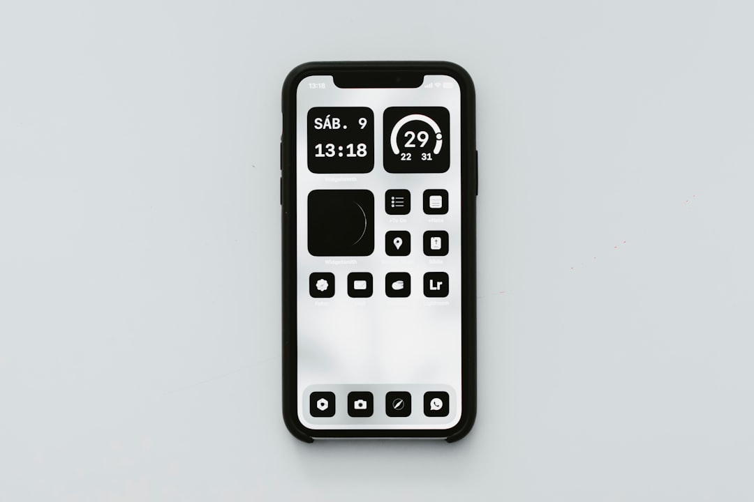 Smartphone mobile application interface