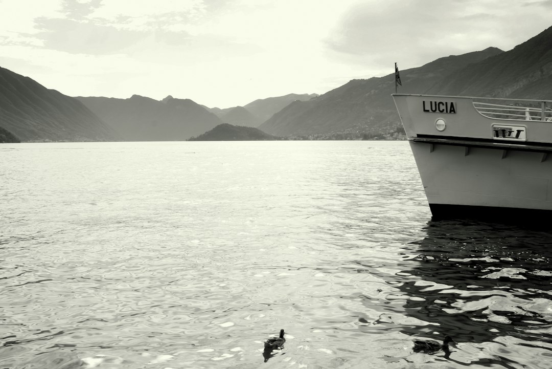 a bird swimming in the water next to a boat